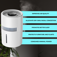 Last inn bildet i Galleri-visningsprogrammet, AirMistify Pro