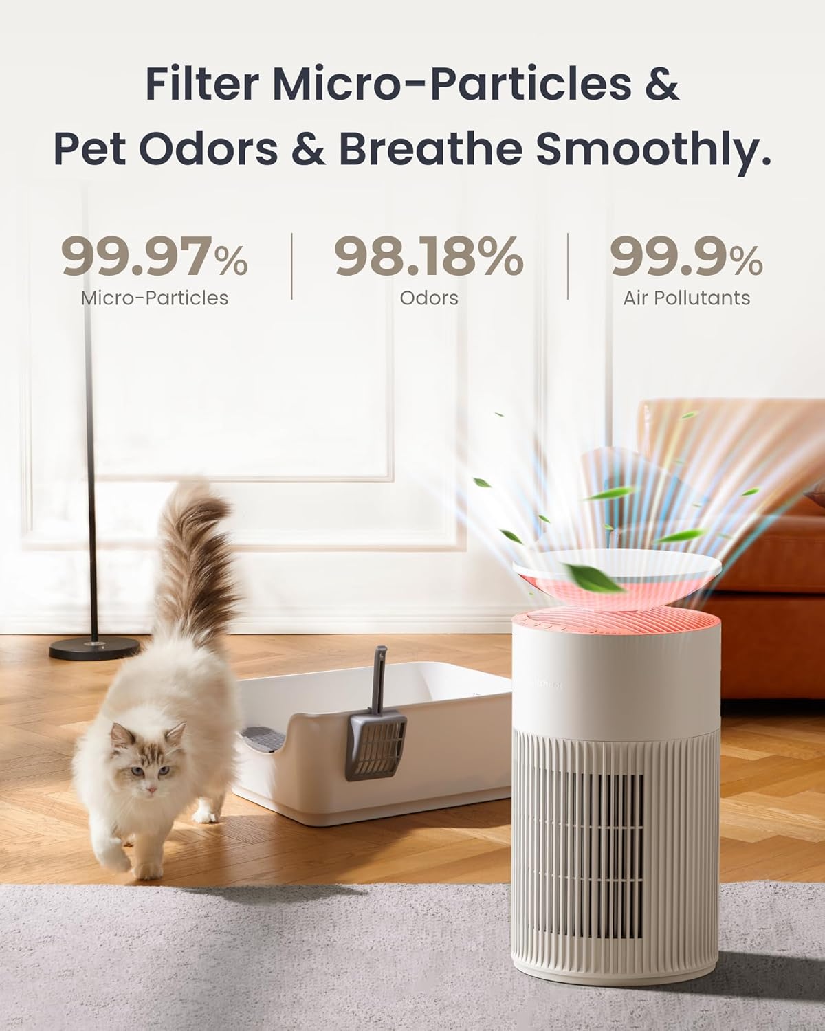 Osmo AirPurify Pro