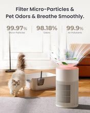 Last inn bildet i Galleri-visningsprogrammet, Osmo AirPurify Pro
