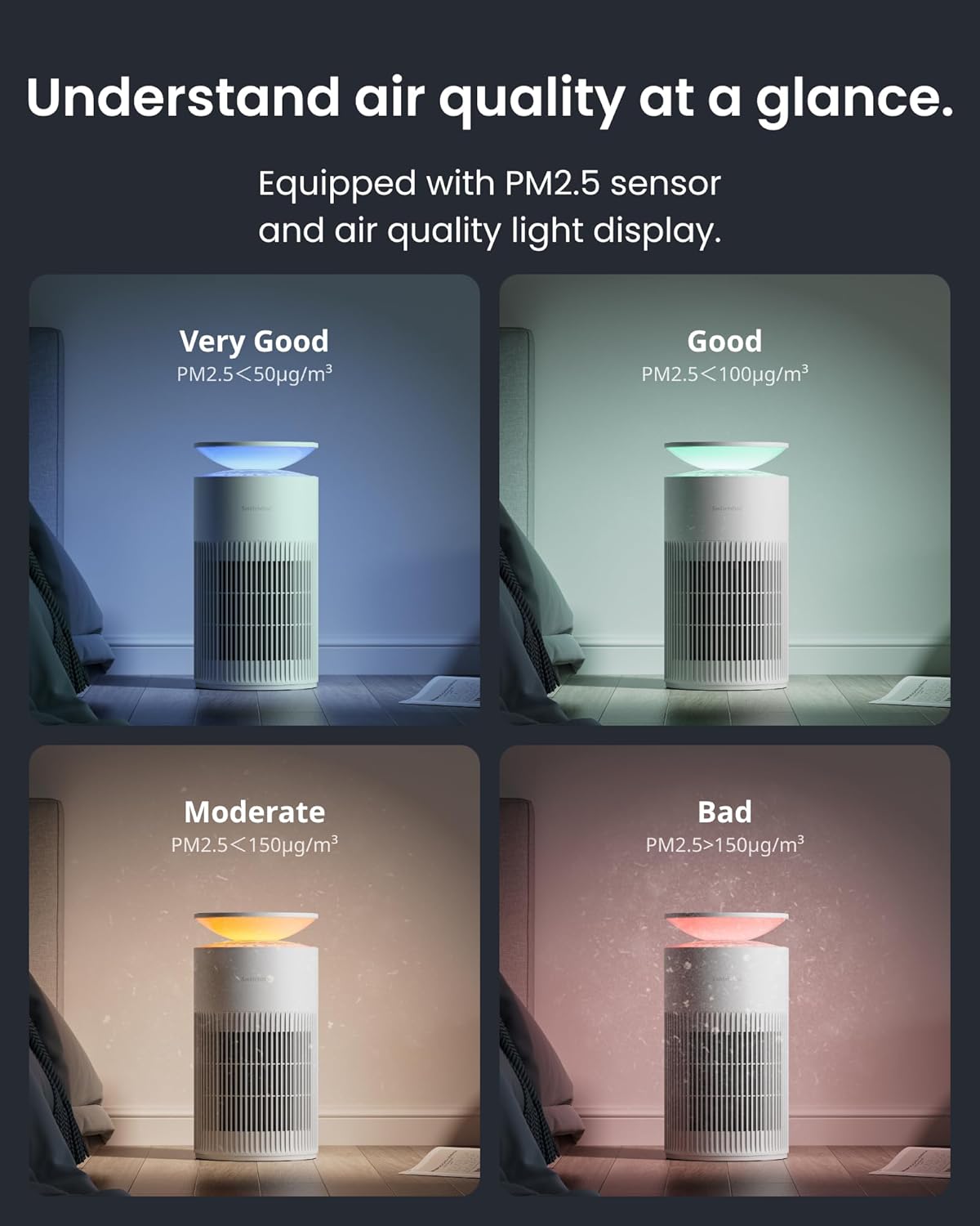 Osmo AirPurify Pro