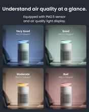 Last inn bildet i Galleri-visningsprogrammet, Osmo AirPurify Pro
