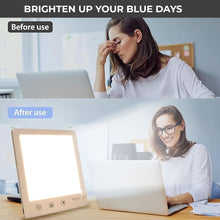 Last inn bildet i Galleri-visningsprogrammet, SunnyLight 2.0
