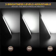 Last inn bildet i Galleri-visningsprogrammet, SunnyLight 2.0
